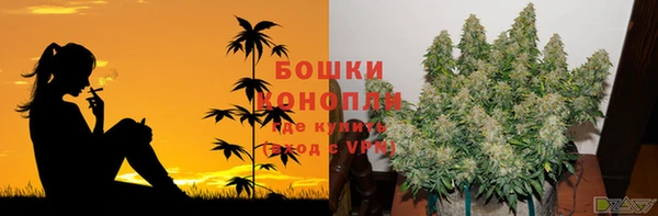 ECSTASY Касимов