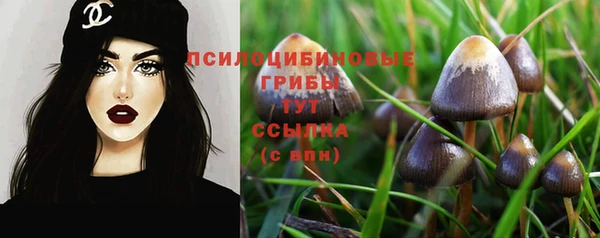 mix Карпинск